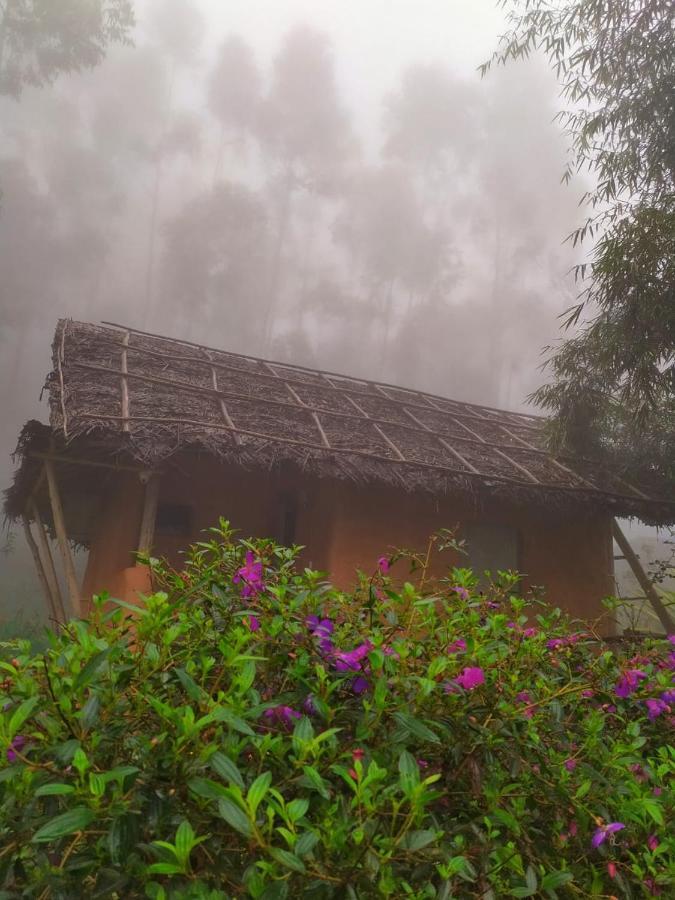 Anandavana Jungle Living By Lexstays - Kanthalloor-Marayur المظهر الخارجي الصورة