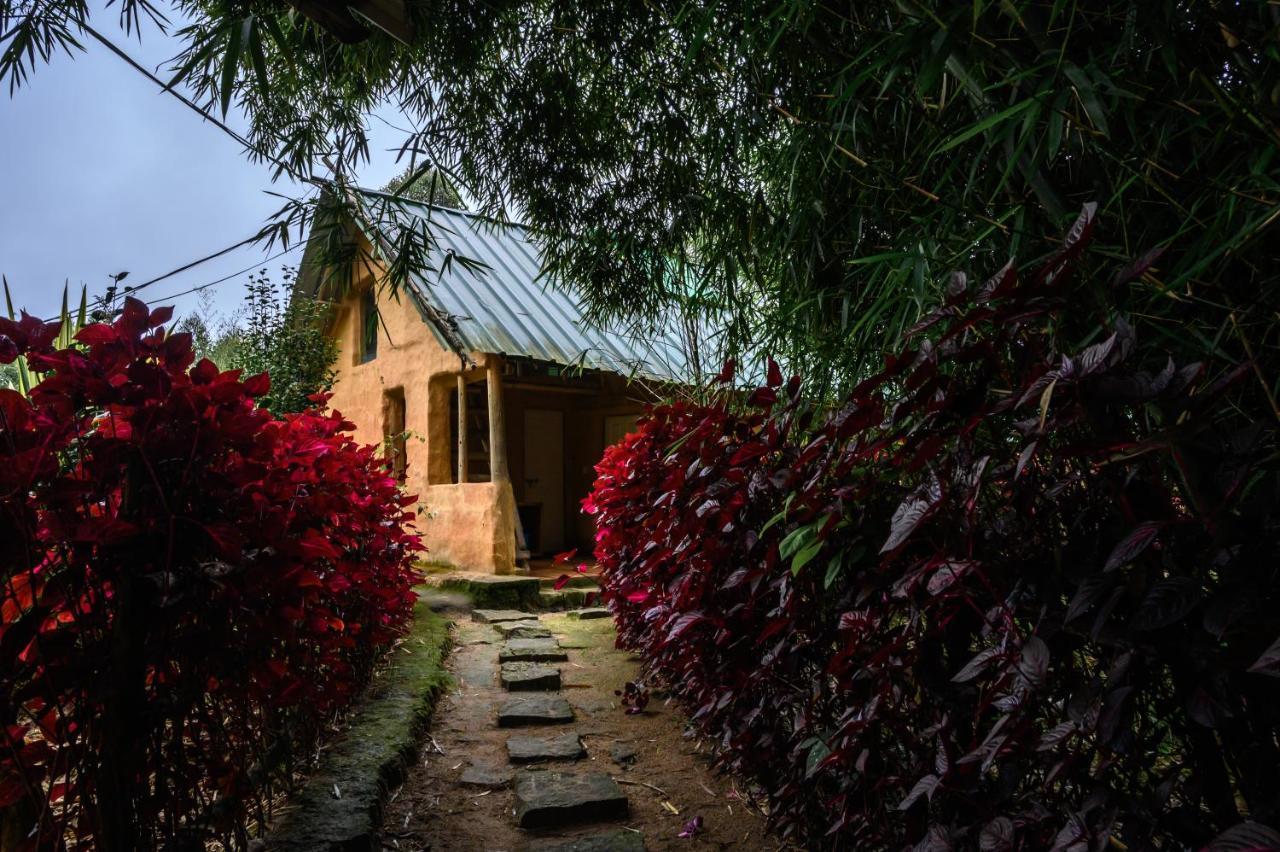 Anandavana Jungle Living By Lexstays - Kanthalloor-Marayur المظهر الخارجي الصورة